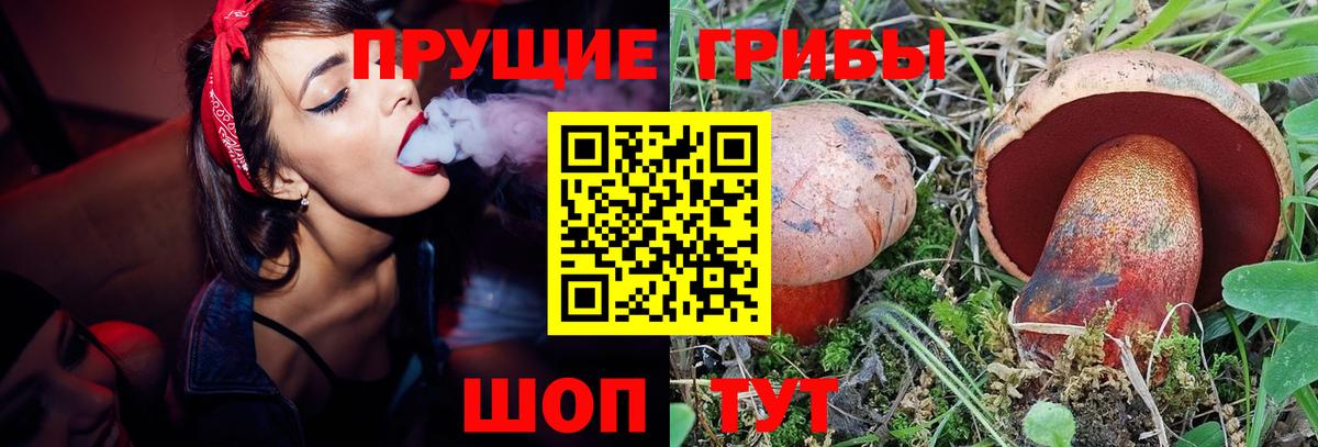 Псилоцибиновые грибы мухоморы  Вход с VPN  Новый Уренгой 